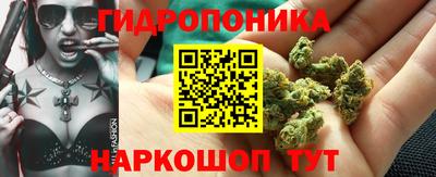 таблы Новозыбков